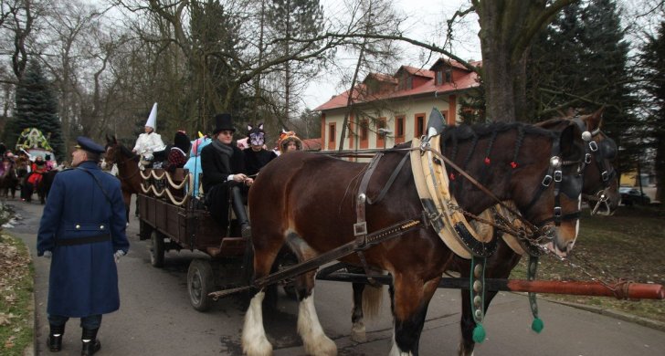 Masopustzoopark2018 (7).JPG